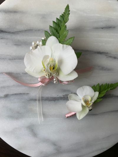 Pack de pareja Orquídena Natural Phalaenopsisblanca