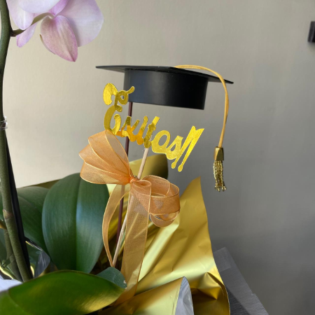 Graduación - Imagen 2